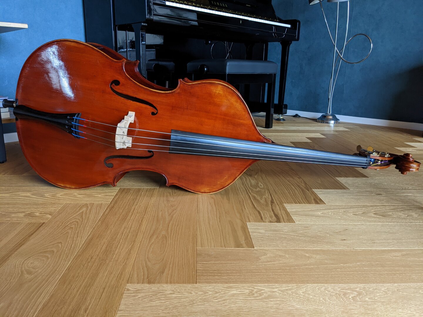 Élisabeth&rsquo;s double bass